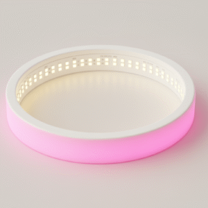 Circle Neon Light Model